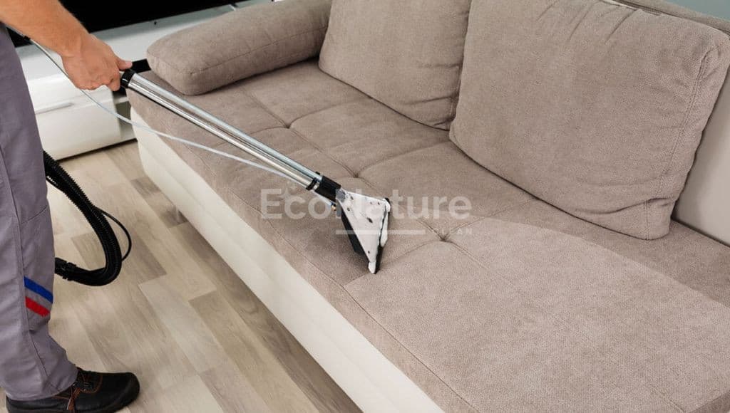 Sofa Cleaning