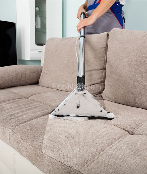 Upholstery Cleaning