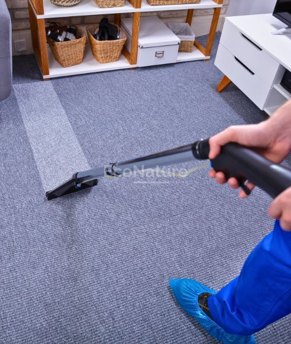 Limpieza profesional de alfombras en acción